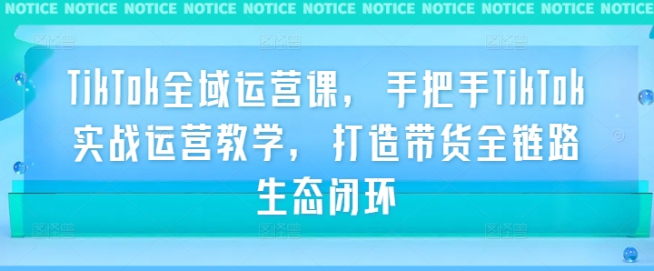 TikTok全域运营课，手把手TikTok实战运营教学，打造带货全链路生态闭环-第一精品资源库