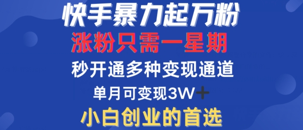 快手暴力起万粉，涨粉只需一星期，多种变现模式，直接秒开万合，单月变现过W【揭秘】-第一精品资源库