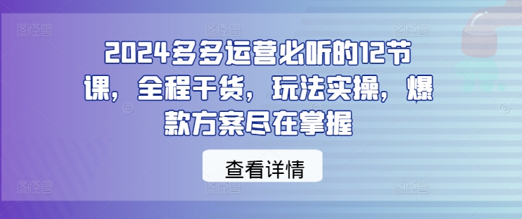 2024多多运营必听的12节课，全程干货，玩法实操，爆款方案尽在掌握-第一精品资源库