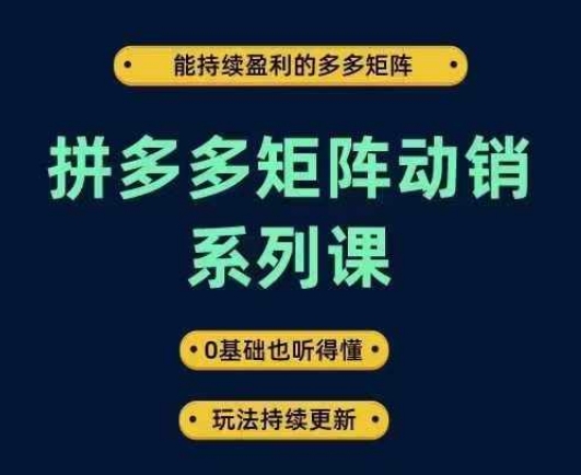拼多多矩阵动销系列课，能持续盈利的多多矩阵，0基础也听得懂，玩法持续更新-第一精品资源库