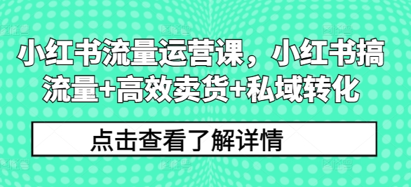 小红书流量运营课，小红书搞流量+高效卖货+私域转化-第一精品资源库