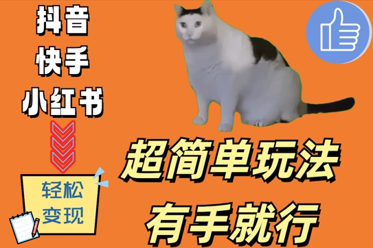 超简单玩法，有手就行，靠猫咪视频日入500+【揭秘】-第一精品资源库