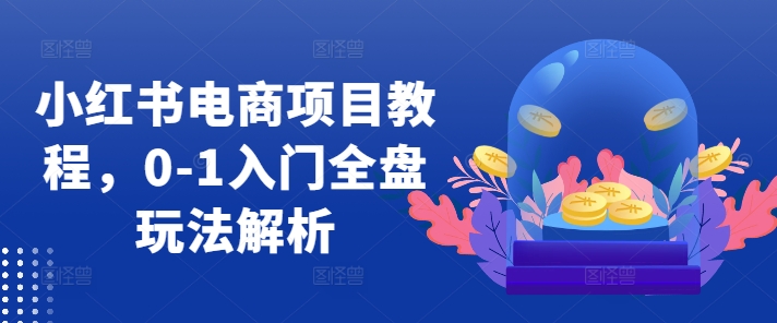 小红书电商项目教程，0-1入门全盘玩法解析-第一精品资源库