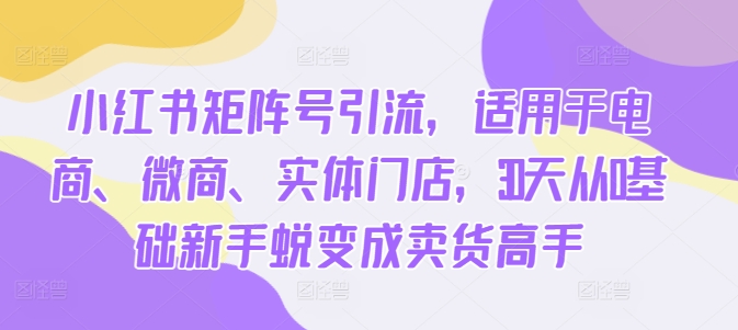 小红书矩阵号引流，适用于电商、微商、实体门店，30天从0基础新手蜕变成卖货高手-第一精品资源库