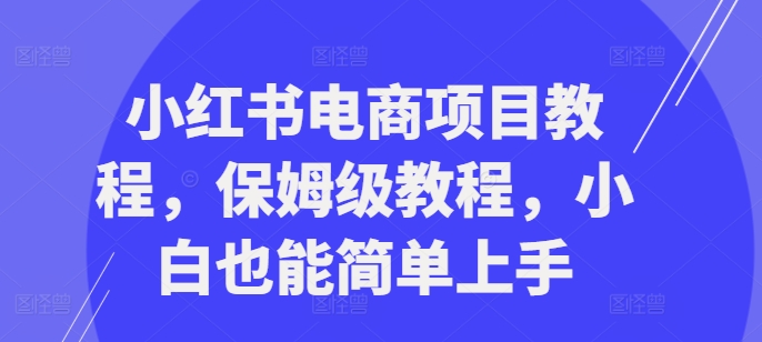 小红书电商项目教程，保姆级教程，小白也能简单上手-第一精品资源库