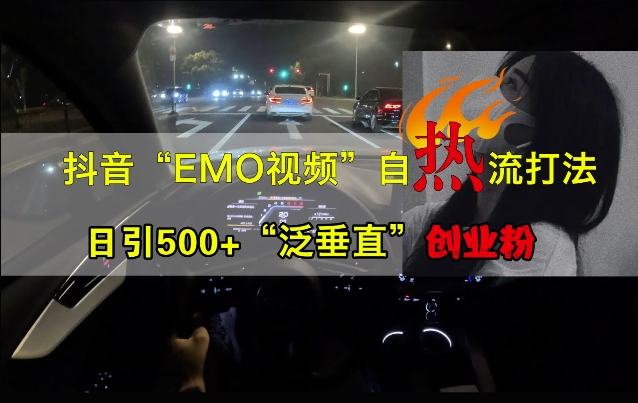 抖音EMO视频自热打法，日引500+“泛垂直”创业粉-第一精品资源库
