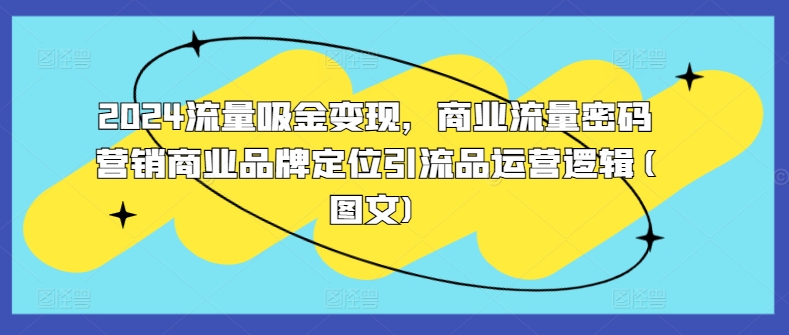 2024流量吸金变现，商业流量密码营销商业品牌定位引流品运营逻辑(图文)-第一精品资源库
