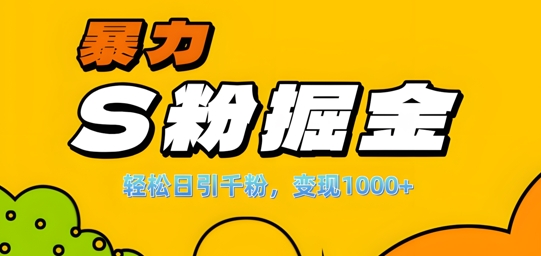 单人单机日引千粉，变现1k+，S粉流量掘金计划攻略【揭秘】-第一精品资源库