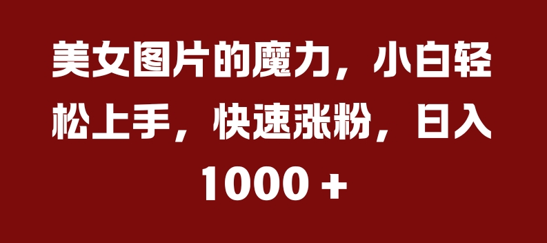 美女图片的魔力，小白轻松上手，快速涨粉，日入几张【揭秘】-第一精品资源库