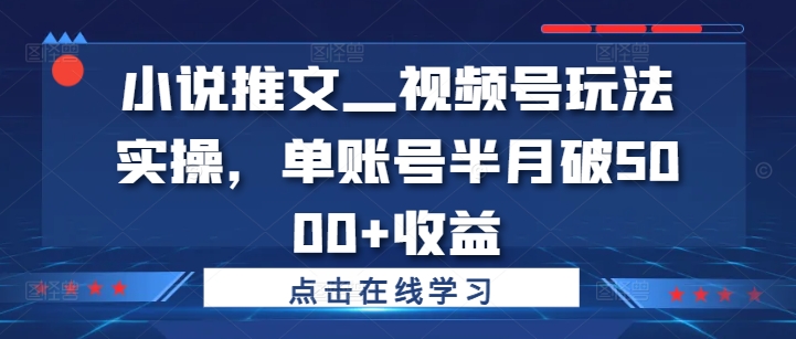 小说推文—视频号玩法实操，单账号半月破5000+收益-第一精品资源库
