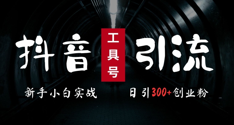 2024最新抖音工具号引流玩法，高效日引300+创业粉，当天变现5k，小白也可成为实战高手-第一精品资源库