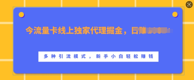 流量卡线上独家代理掘金，日入1k+ ，多种引流模式，新手小白轻松上手【揭秘】-第一精品资源库