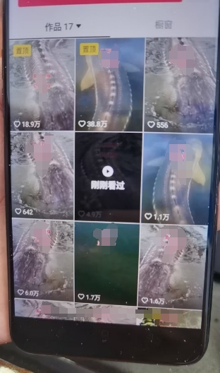 外面卖399的国学佛像原创暴力起号技术，快速起号，7天可达到一个万粉号-第一精品资源库