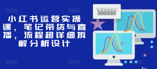 小红书运营实操课，笔记带货与直播，流程超详细拆解分析设计-第一精品资源库