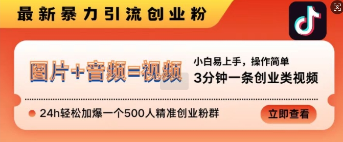 抖音最新暴力引流创业粉，3分钟一条创业类视频，24h轻松加爆一个500人精准创业粉群【揭秘】-第一精品资源库