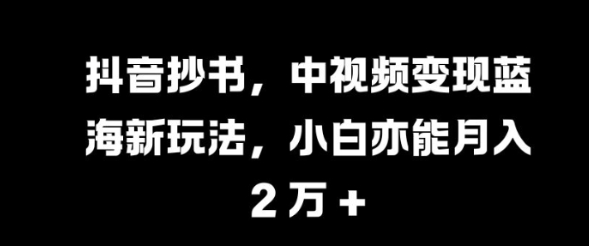 抖音抄书，中视频变现蓝海新玩法，小白亦能月入 过W【揭秘】-第一精品资源库